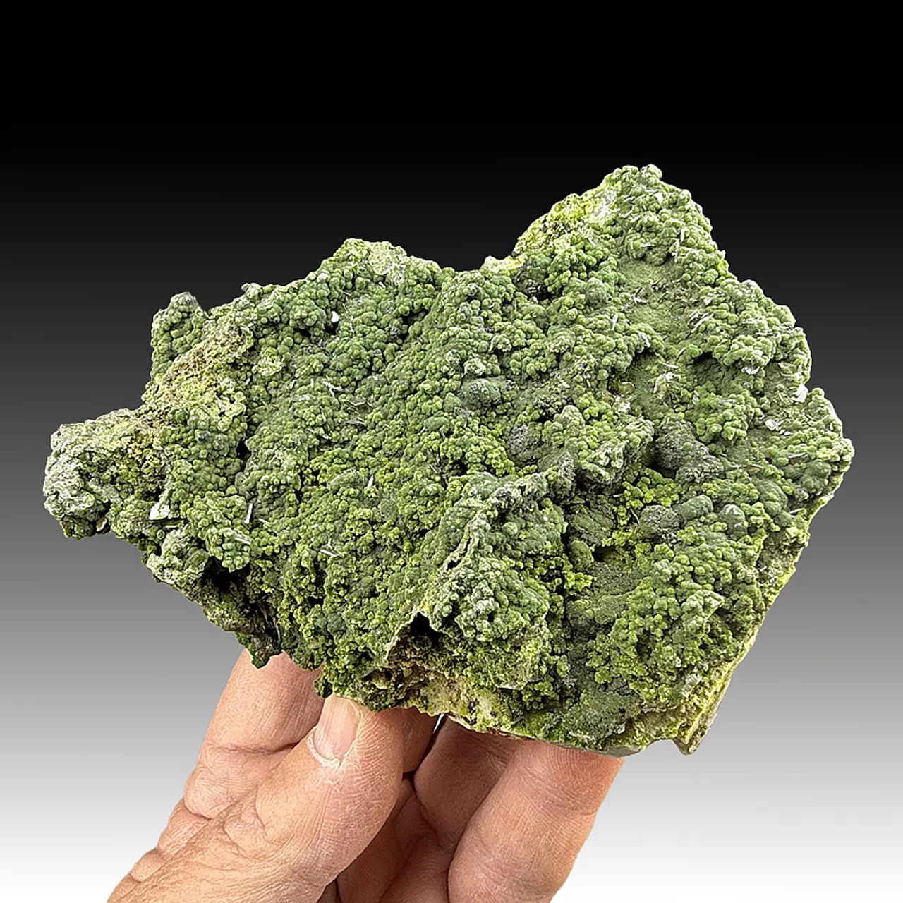 Mottramite with Wulfenite - image 1