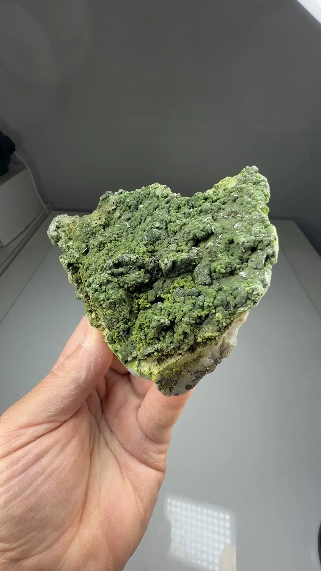 Mottramite with Wulfenite - image 2