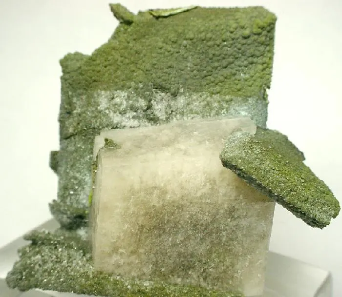 Mottramite, Wulfenite image