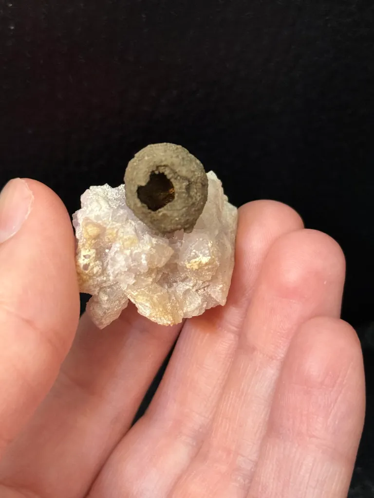 "Mud Dauber wasp” nest on fluorite image