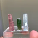 specimen video