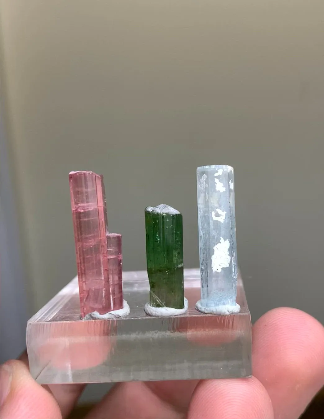 specimen video