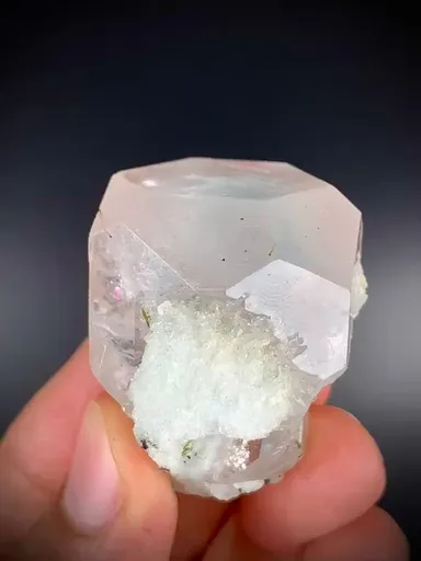 specimen video