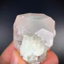 specimen video