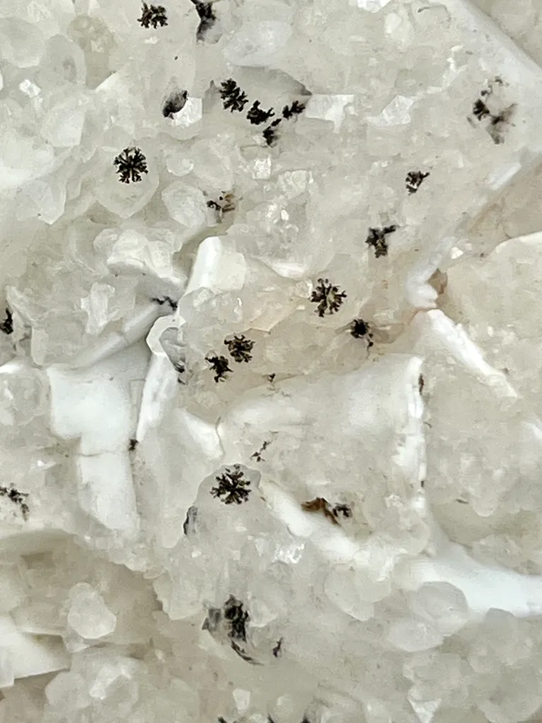 Multi-mineral cluster with Rare Manganese Dendrites - image 4