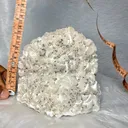 Multi-mineral cluster with Rare Manganese Dendrites - image 10