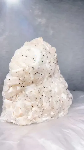 specimen video
