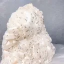 specimen video