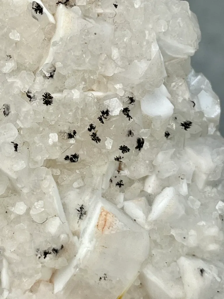 Multi-mineral cluster with Rare Manganese Dendrites - image 6