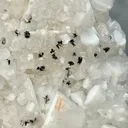 Multi-mineral cluster with Rare Manganese Dendrites - image 6