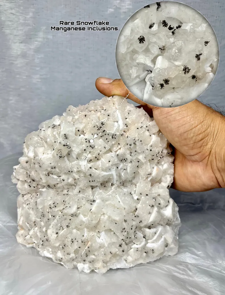 Multi-mineral cluster with Rare Manganese Dendrites image