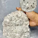 Multi-mineral cluster with Rare Manganese Dendrites - image 1