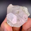 Multi terminated Bicolor Aquamorganiote, Bicolor Beryl with Green Tourmalines - image 4