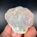 Multi terminated Bicolor Aquamorganiote, Bicolor Beryl with Green Tourmalines - image 6