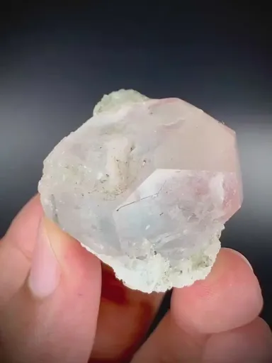 specimen video