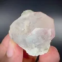 specimen video