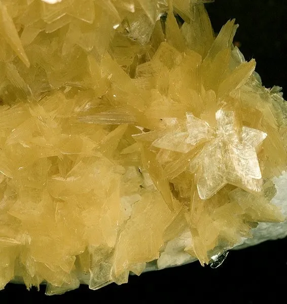 Muscovite - image 2