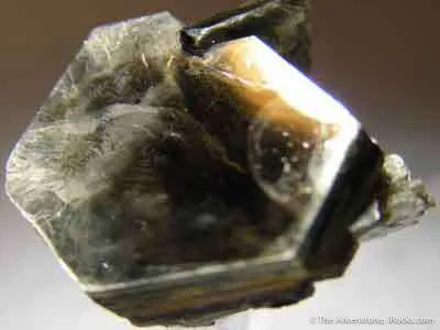 Muscovite image
