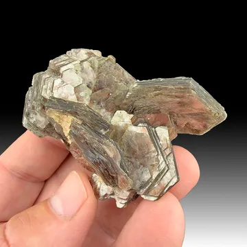 Muscovite