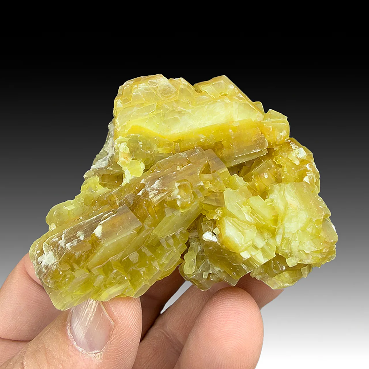 Muscovite - image 1