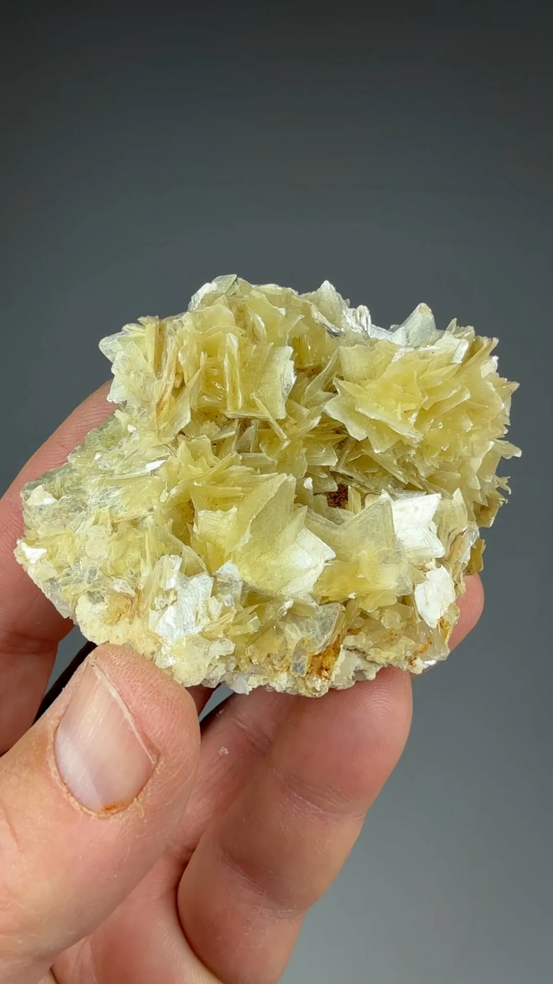 Muscovite - image 2