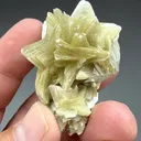 Muscovite (857) - image 2