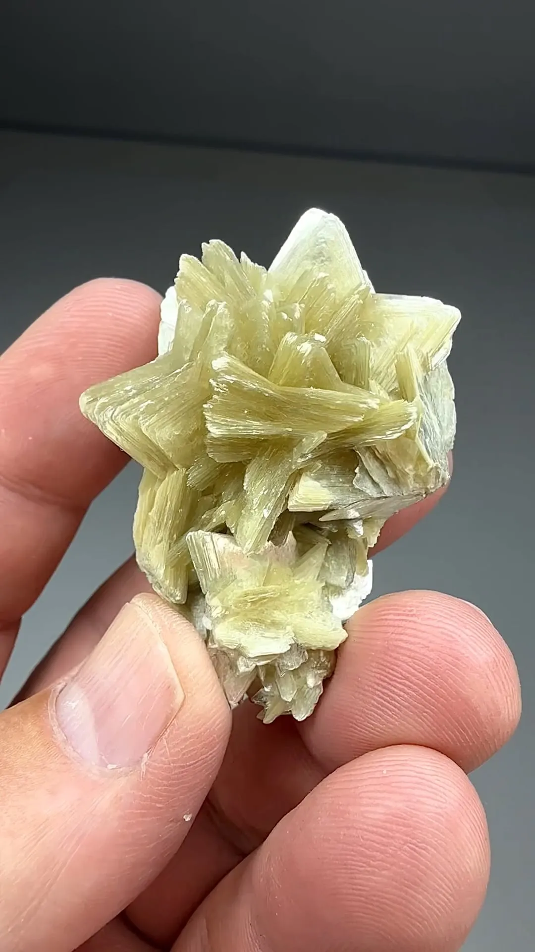 Muscovite (857) - image 2