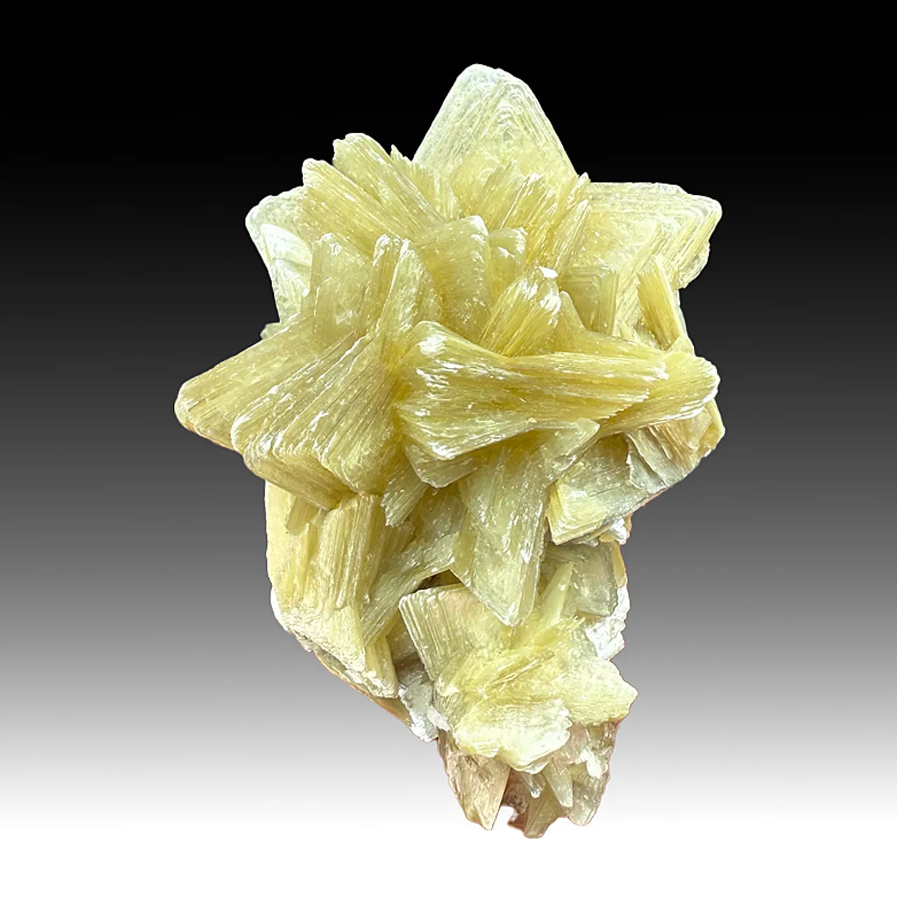 Muscovite (857) - image 1