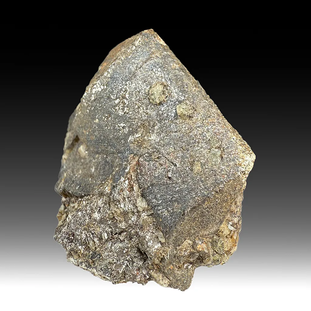 Muscovite after Tourmaline image