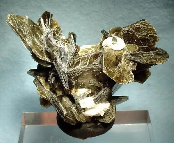 Muscovite, Albite image