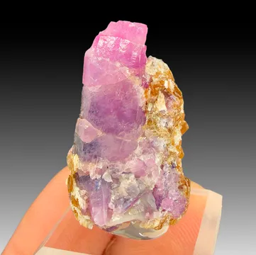 Muscovite