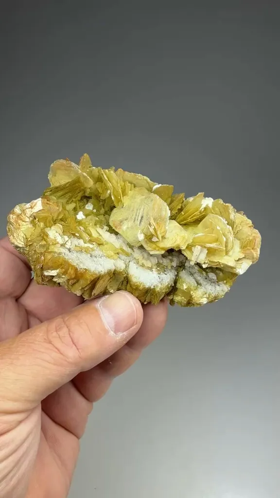 Muscovite - image 2