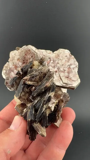 Muscovite