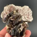 Muscovite - image 1