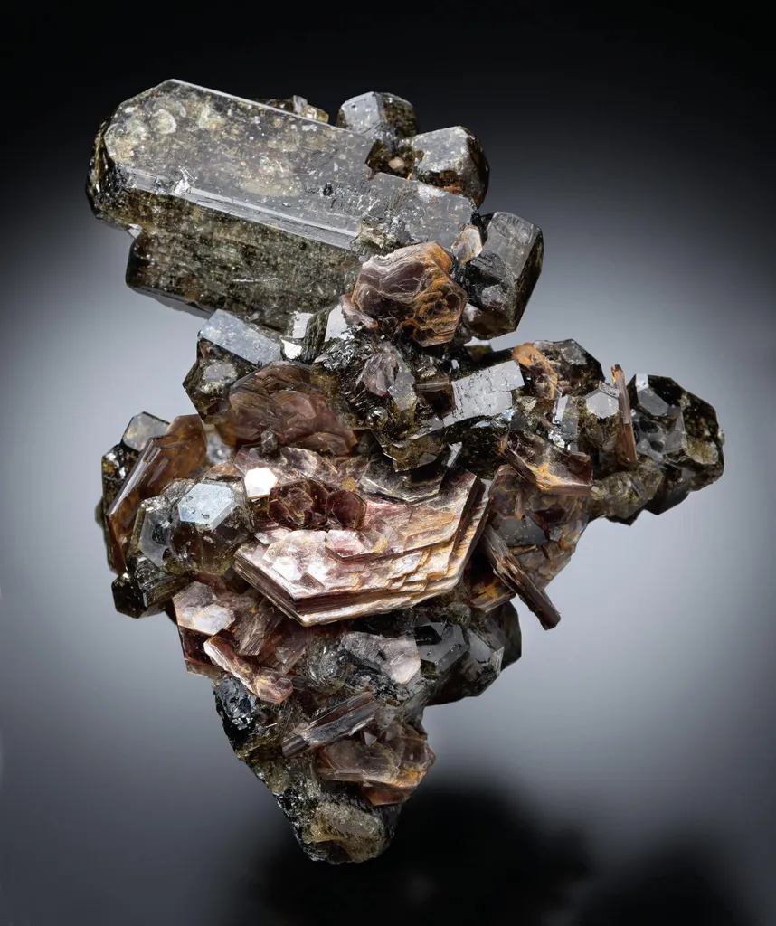 Muscovite, Fluorapatite image