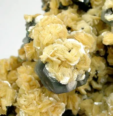 Muscovite, Fluorite - image 2
