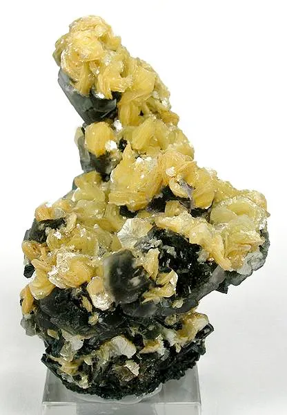 Muscovite, Fluorite image