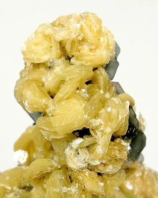 Muscovite, Fluorite - image 2