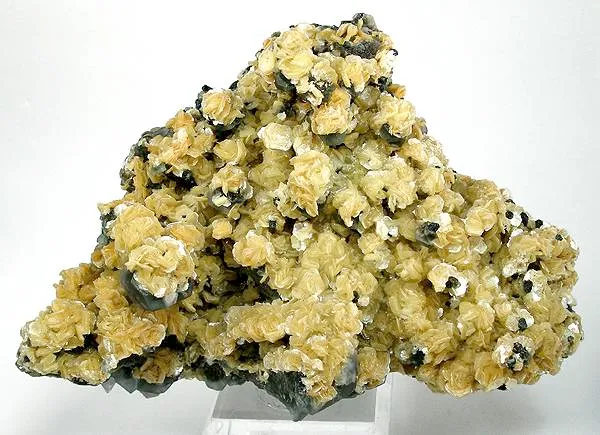 Muscovite, Fluorite image