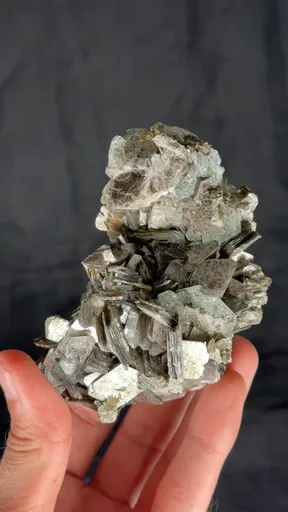 specimen video
