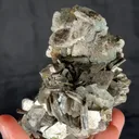 specimen video