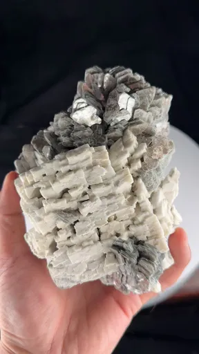 specimen video