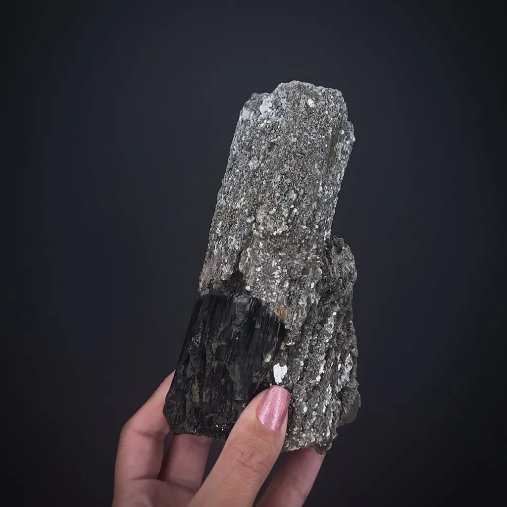 Muscovite ps. Elbaite on Schorl Tourmaline image