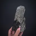 Muscovite ps. Elbaite on Schorl Tourmaline - image 1