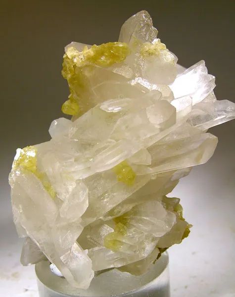 Muscovite, Quartz image