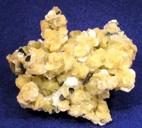 Muscovite, Schorl image