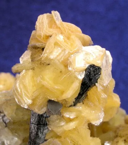 Muscovite, Schorl - image 2