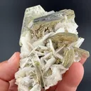 Muscovite with Albite - image 1