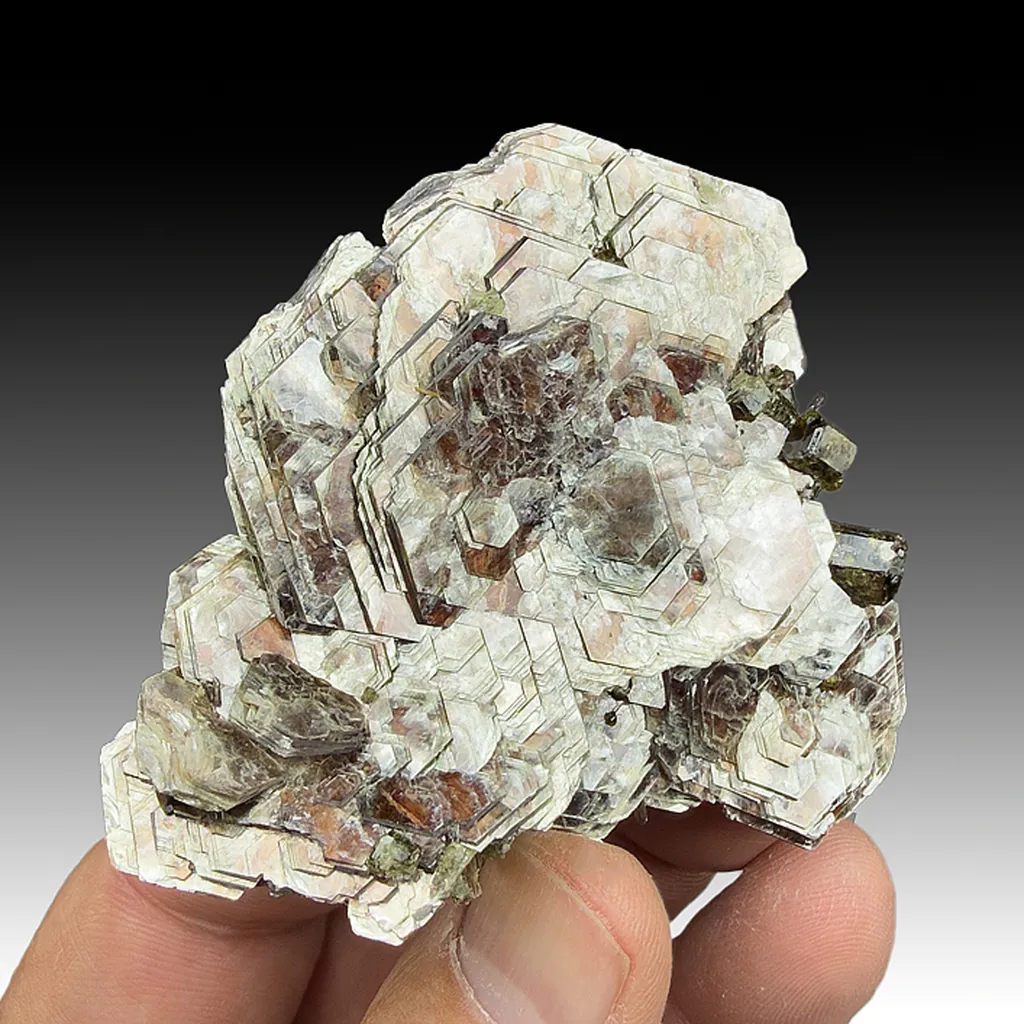 Muscovite with Fluorapatite image