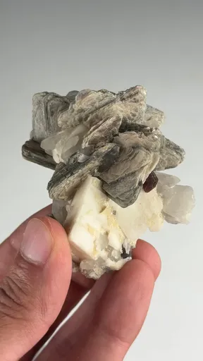 specimen video